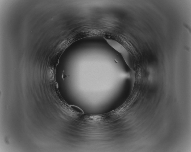 X0000097630478200802291345