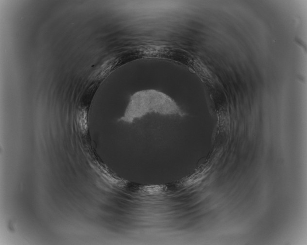X0000097630479200802291345