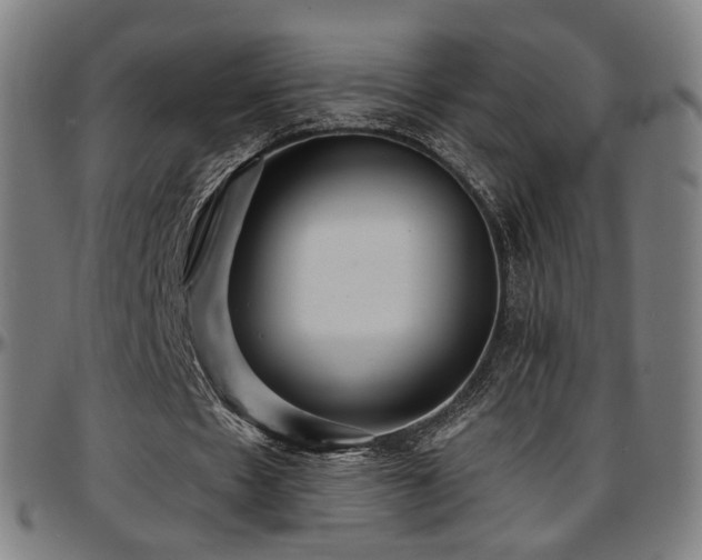 X0000097630481200802291344