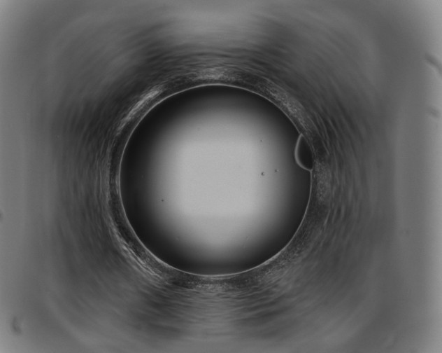 X0000097630482200802291344