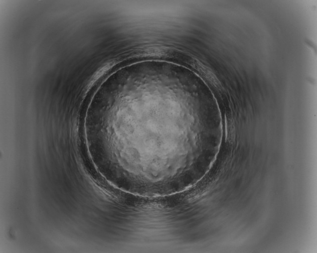 X0000097630483200802291344