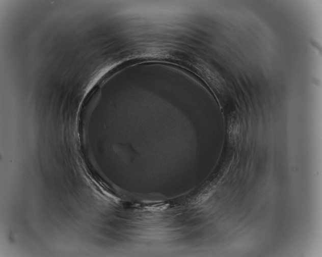 X0000097630484200802291344
