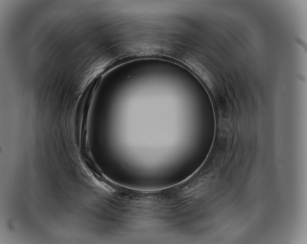 X0000097630485200802291344