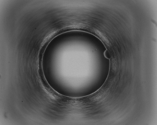 X0000097630486200802291344
