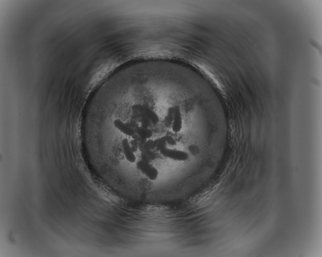 X0000097630487200802291344