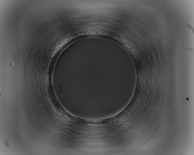 X0000097630488200802291344