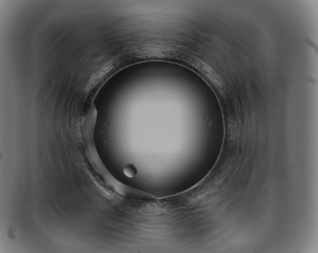 X0000097630489200802291344