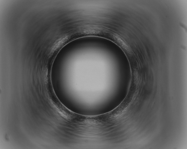 X0000097630490200802291344