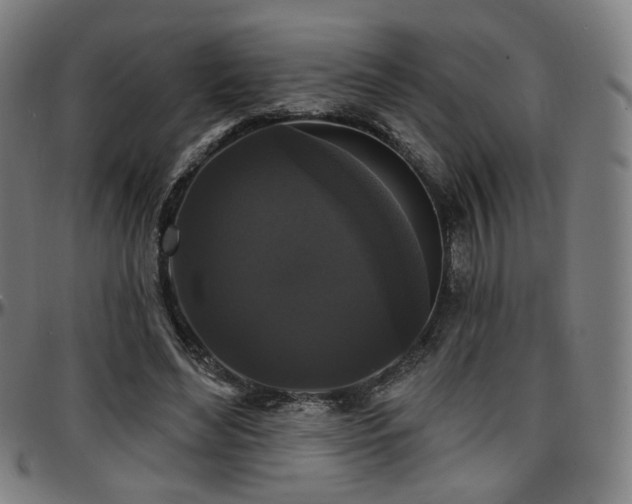 X0000097630492200802291344