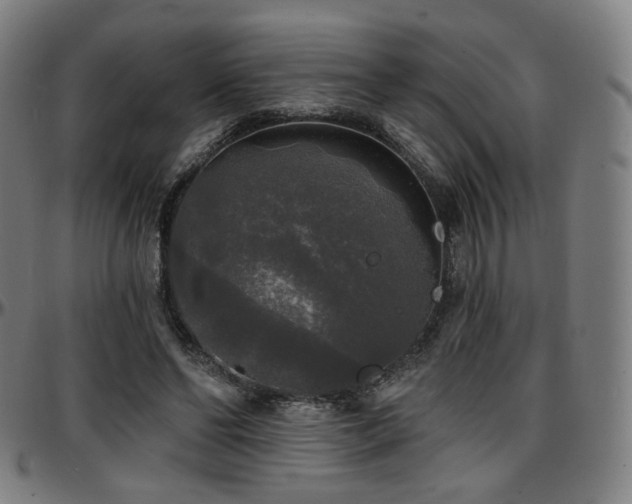 X0000097630494200802291344