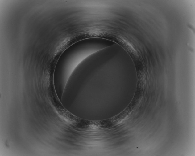 X0000097630496200802291344