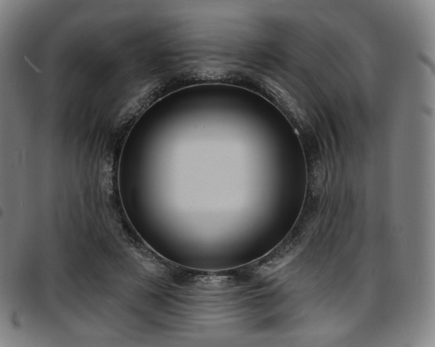 X0000097630497200802291344