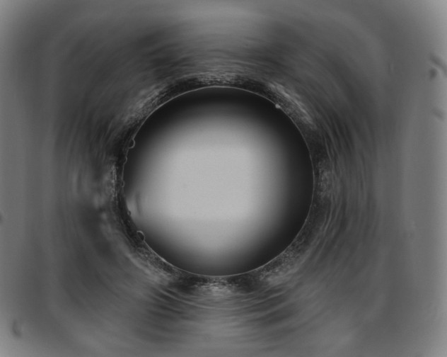 X0000097630498200802291344