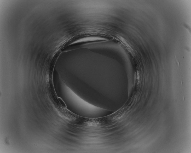 X0000097630500200802291344