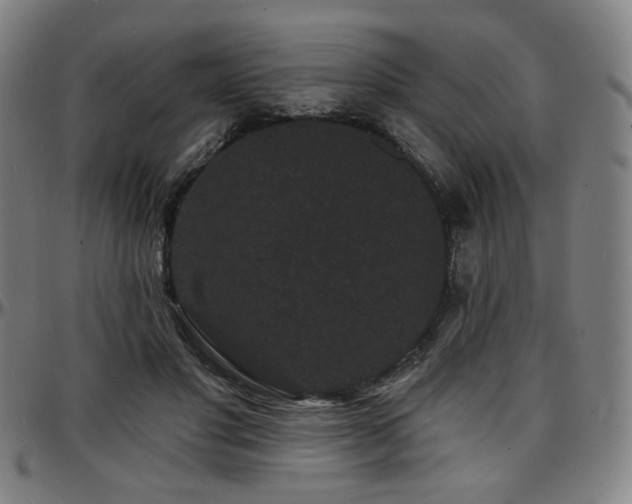 X0000097630501200802291344