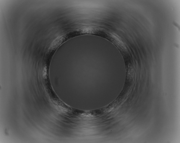 X0000097630502200802291344