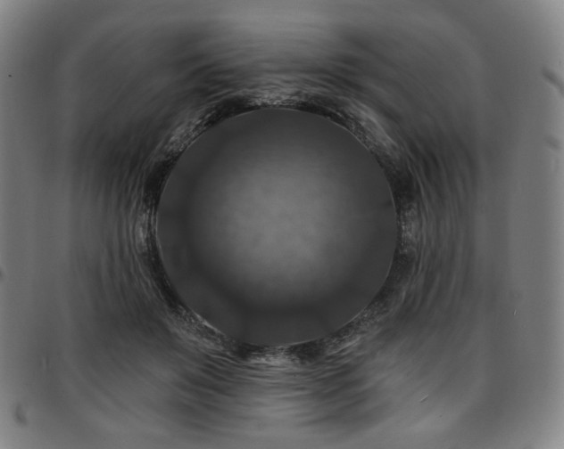 X0000097630503200802291344