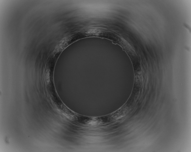 X0000097630504200802291344
