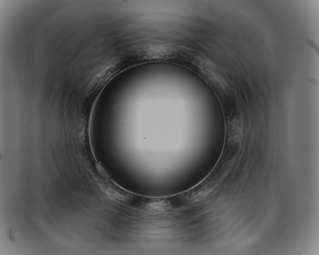 X0000097630505200802291344