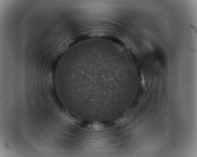 X0000097630506200802291344