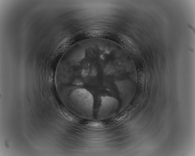 X0000097630507200802291344
