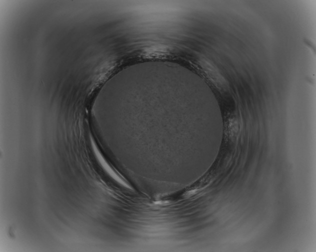 X0000097630508200802291344
