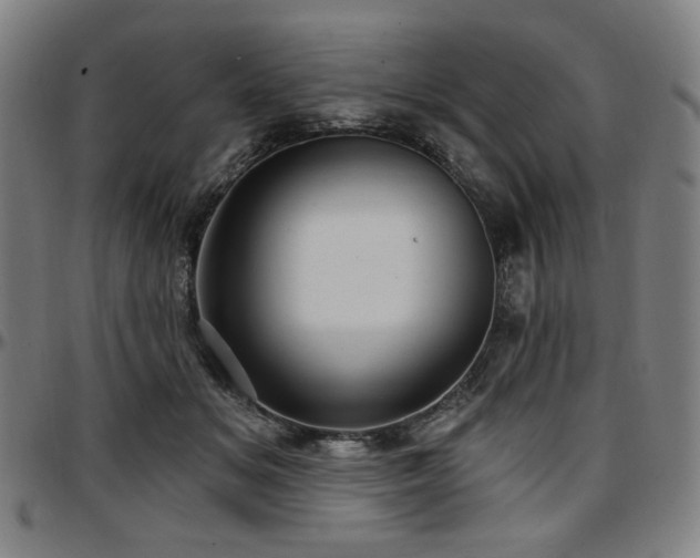 X0000097630509200802291344