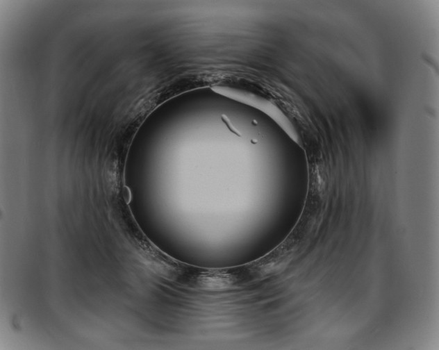 X0000097630510200802291344