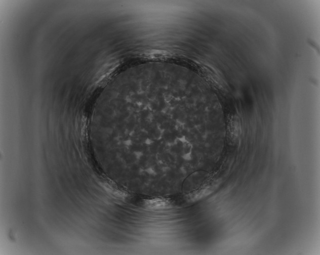 X0000097630511200802291344