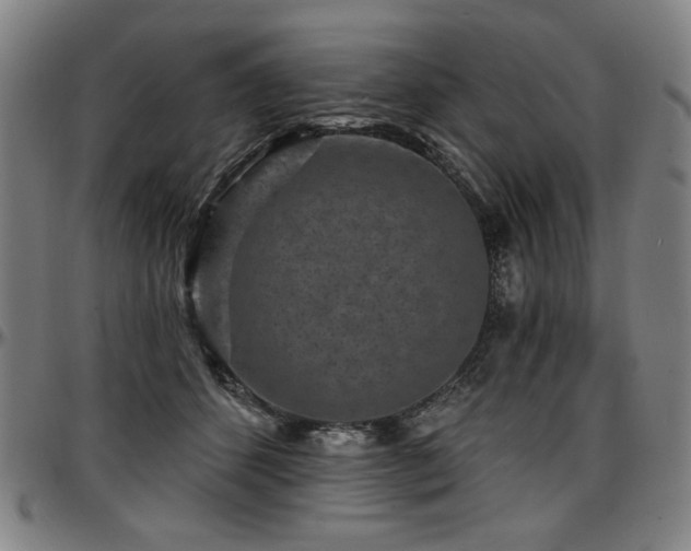 X0000097630512200802291344