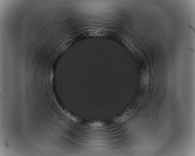 X0000097630513200802291344