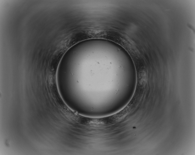 X0000097630515200802291344