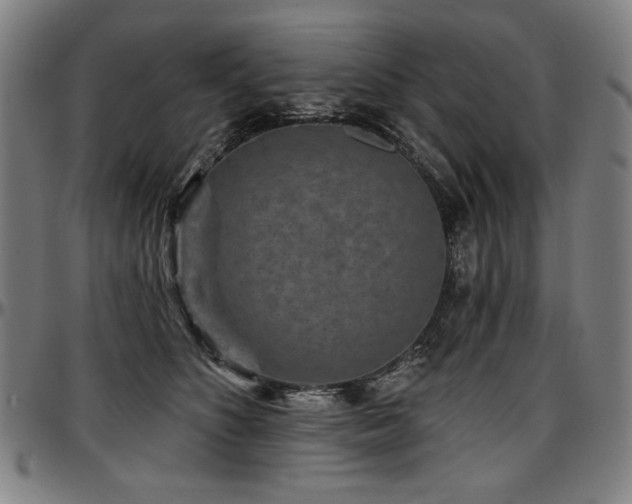 X0000097630516200802291344