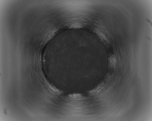 X0000097630517200802291344