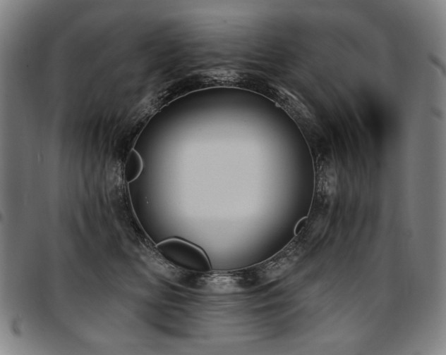 X0000097630518200802291344