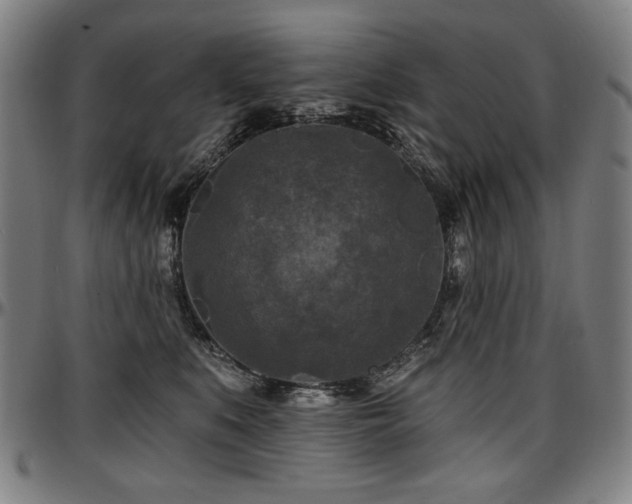 X0000097630519200802291344