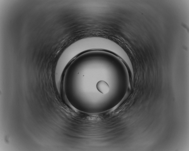 X0000097630520200802291343
