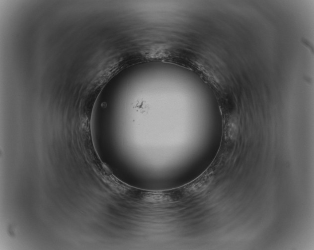 X0000097630521200802291343