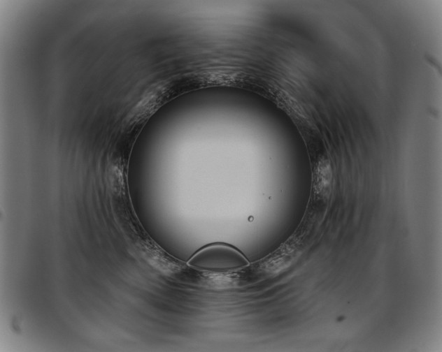 X0000097630522200802291343