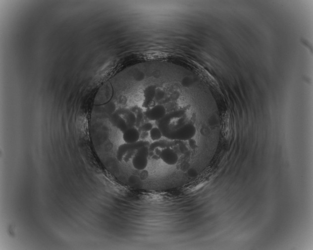 X0000097630523200802291343