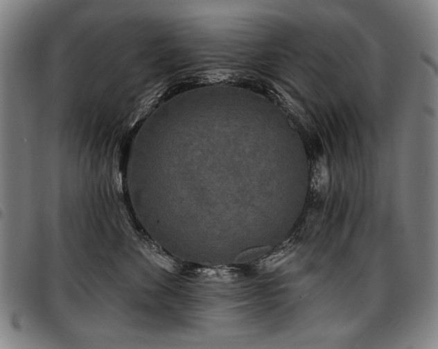 X0000097630524200802291343
