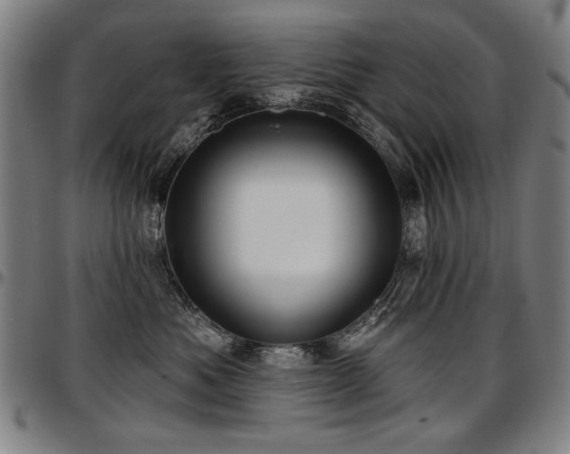 X0000097630525200802291343