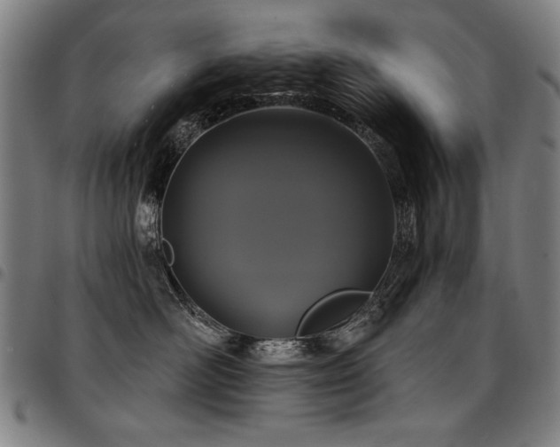 X0000097630526200802291343