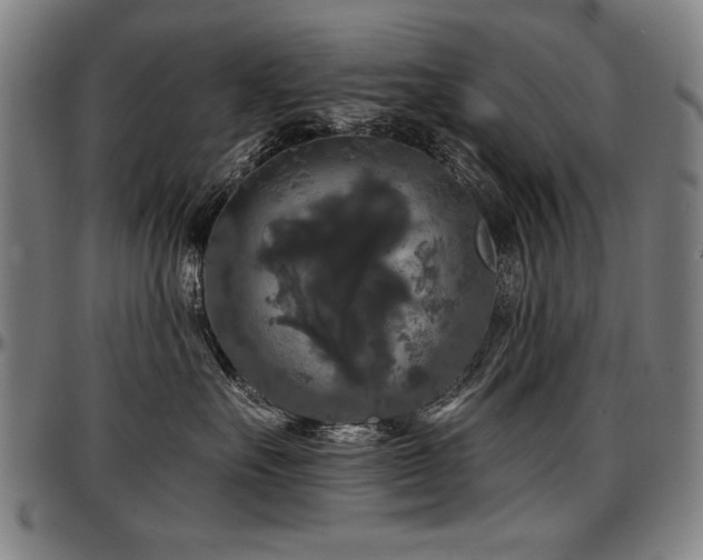 X0000097630527200802291343