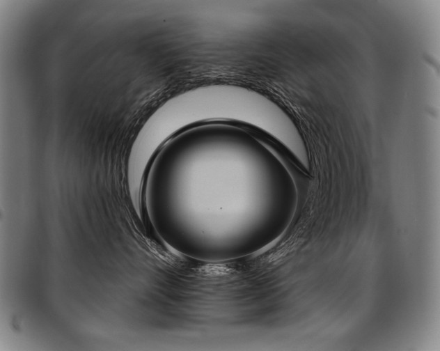 X0000097630528200802291343