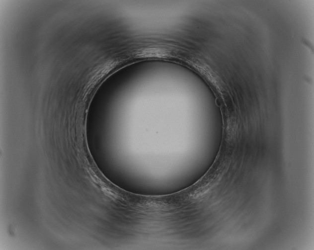 X0000097630529200802291343