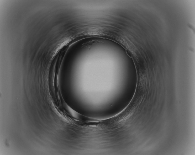 X0000097630530200802291343