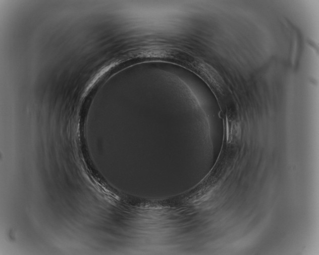 X0000097630531200802291343