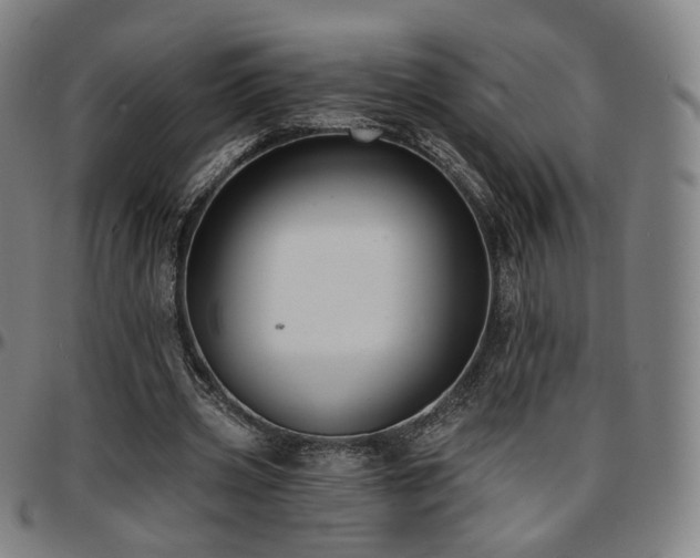 X0000097630533200802291343