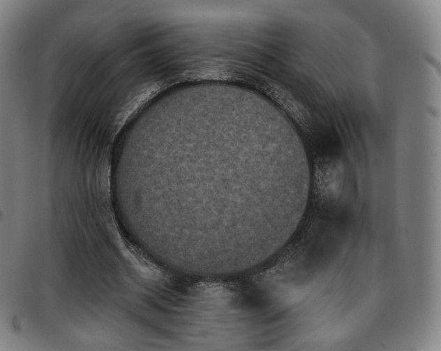 X0000097630534200802291343